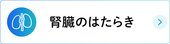 腎臓のはたらき