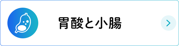 胃酸と小腸