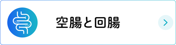 空腸と回腸