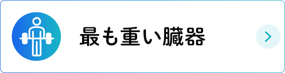 最も重い臓器