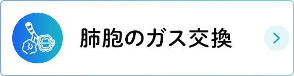 肺胞のガス交換