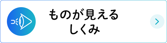 ものが見えるしくみ