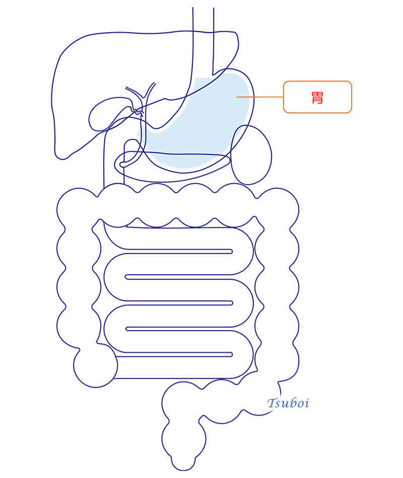 胃のイメージ