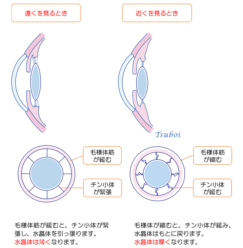 遠くを見るとき