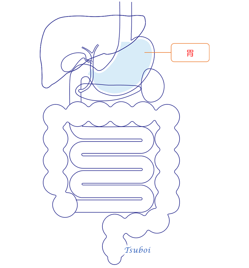 胃のイメージ