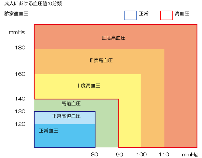 成人における血圧値の分類