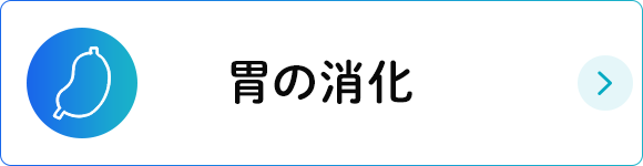 胃の消化