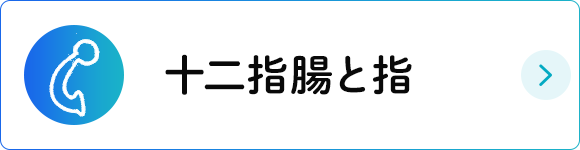 十二指腸と指