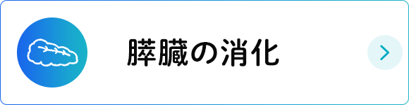 膵臓の消化