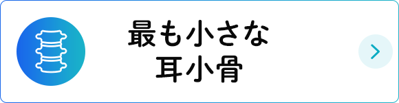 最も小さな耳小骨