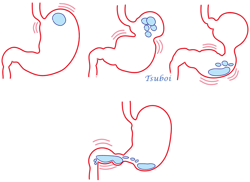 食道と胃のぜん動運動