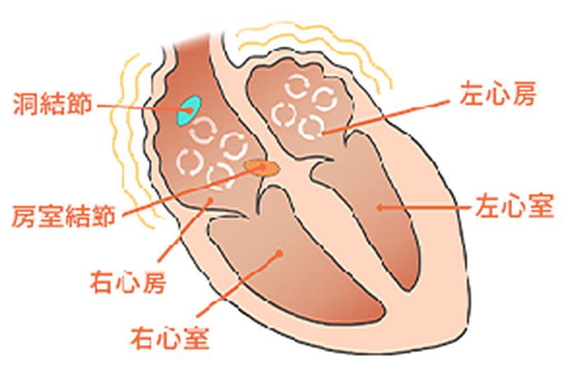 心房細動